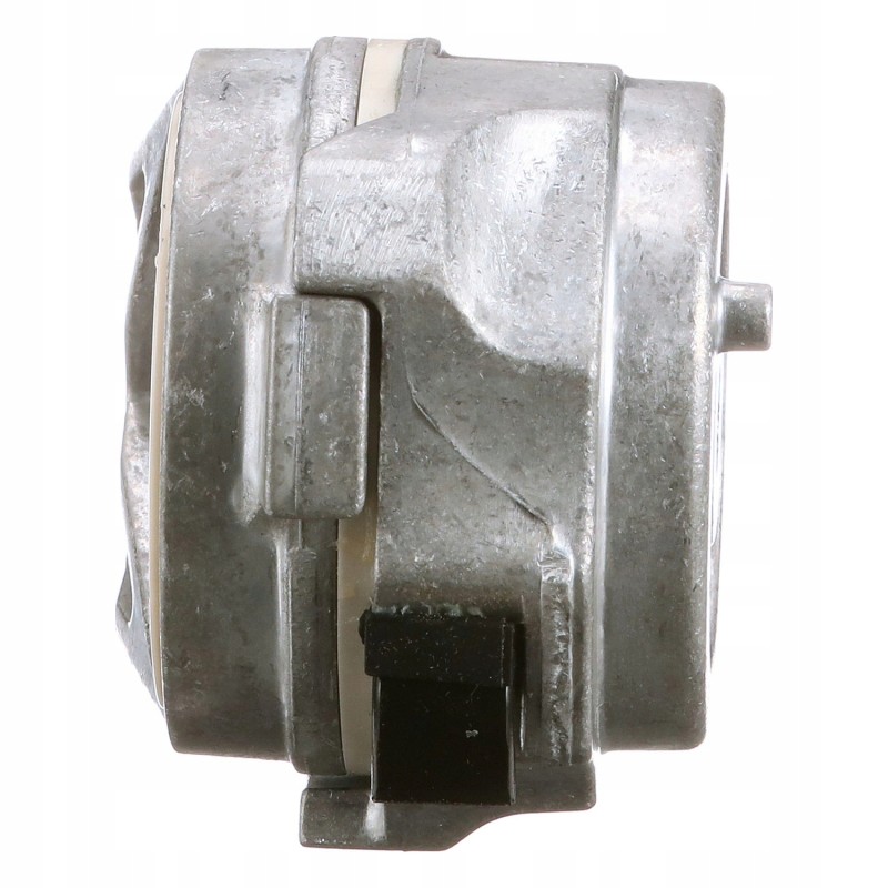 Tensioner TM165 New Holland Case CNH 87801838