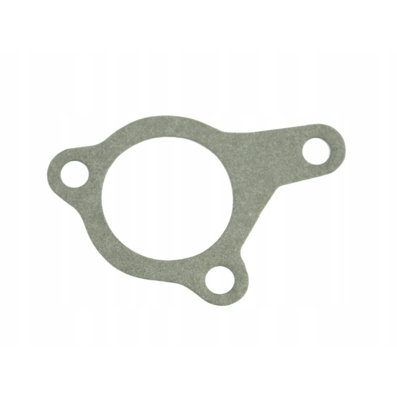 Oil filler seal c 385 80002064