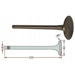 Deutz Fendt suction valve 02137301