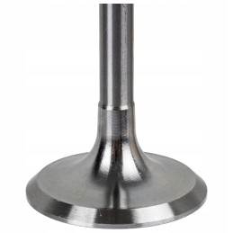 Deutz Fendt suction valve 02137301