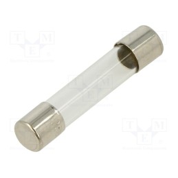 1 pcs x OPTIFUSE - FSA-100MA - Fuse: fuse, quick blow, 100mA, 250VAC, glass, 6.3x32mm, brass, FSA