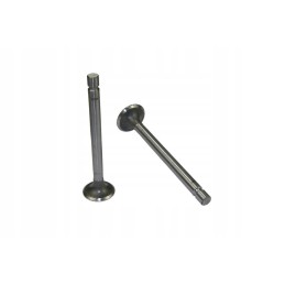 Suction valve C 330 original Ursus