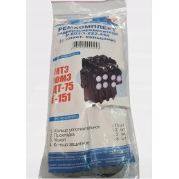 Hydra Mtz R80 distributor repair kit, 3 sections