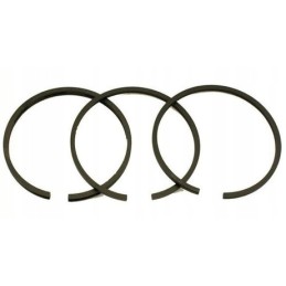 Set of rings for the prima ursus c 360 compressor