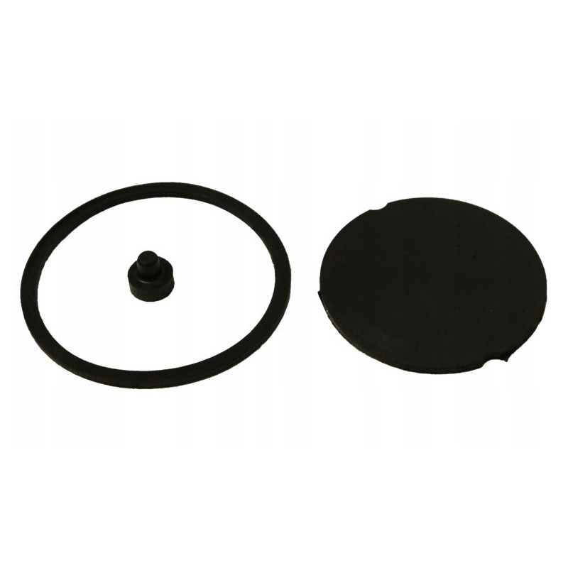 Ferguson air release valve repair kit