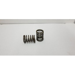 External valve spring c 385 80005013