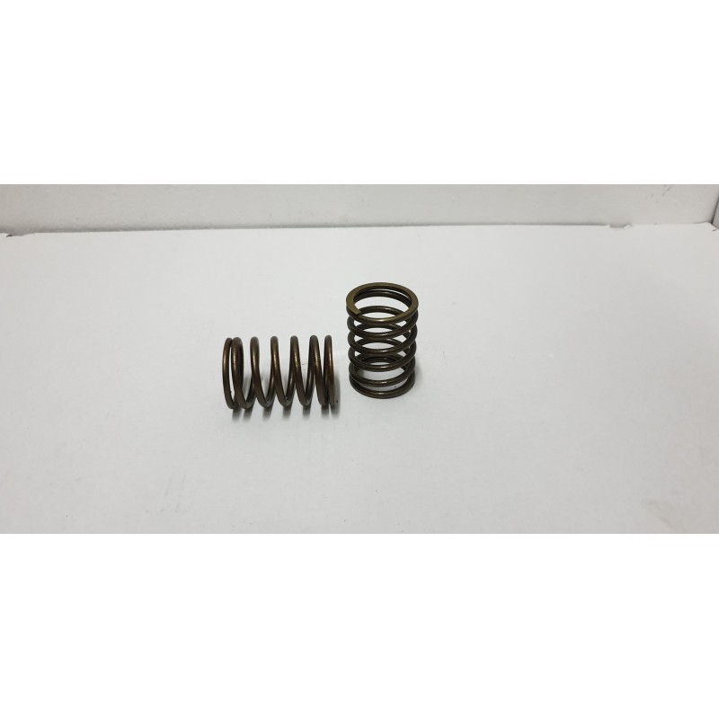 External valve spring c 385 80005013