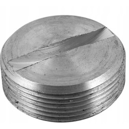 Engine crankshaft plug c 385 80003013