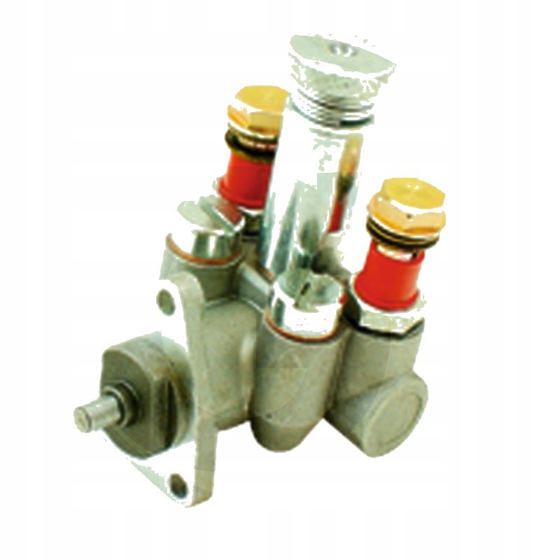 Bizon SW 400 fuel pump 72300060100