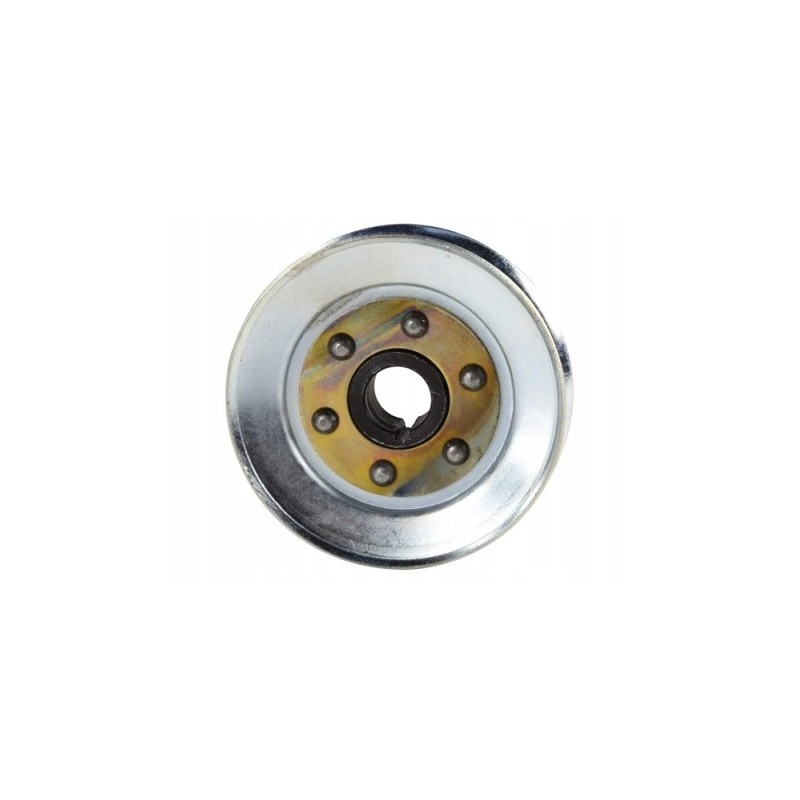 Generator pulley p20c ursus c 330 50003830