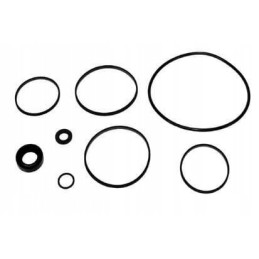 Repair kit for the steering pump
