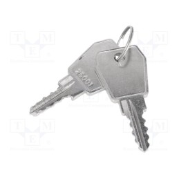 2 pcs x ROZTOCZE - KL25001 - Key, Key code: 25001, Z-2106-25001-22