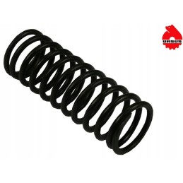 Internal valve spring sold for 10c 33