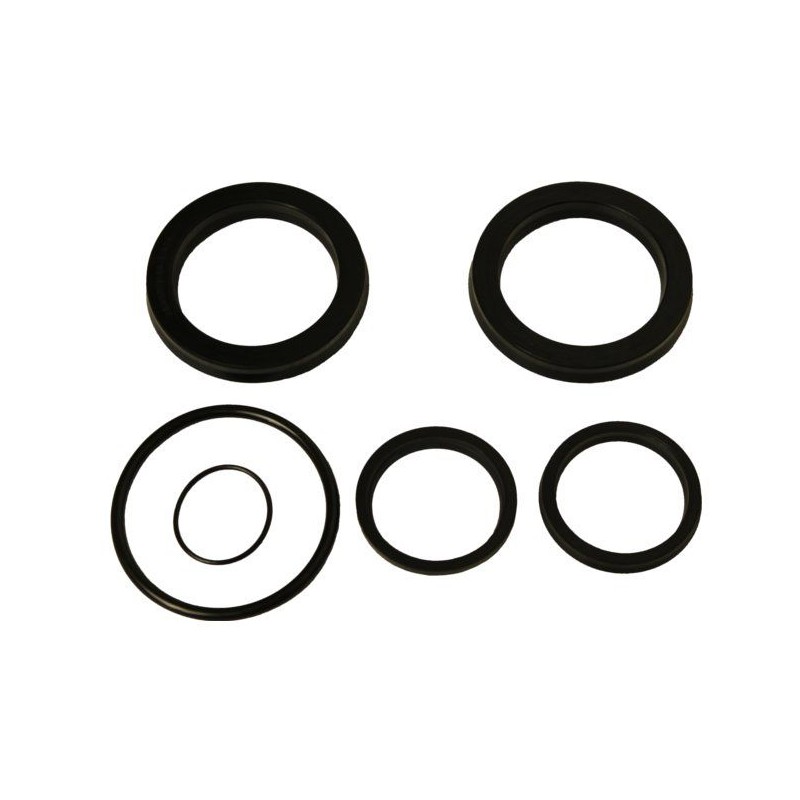 Cyclops boom cylinder seal set