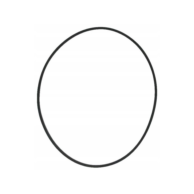 Hydraulic filter seal ring cas