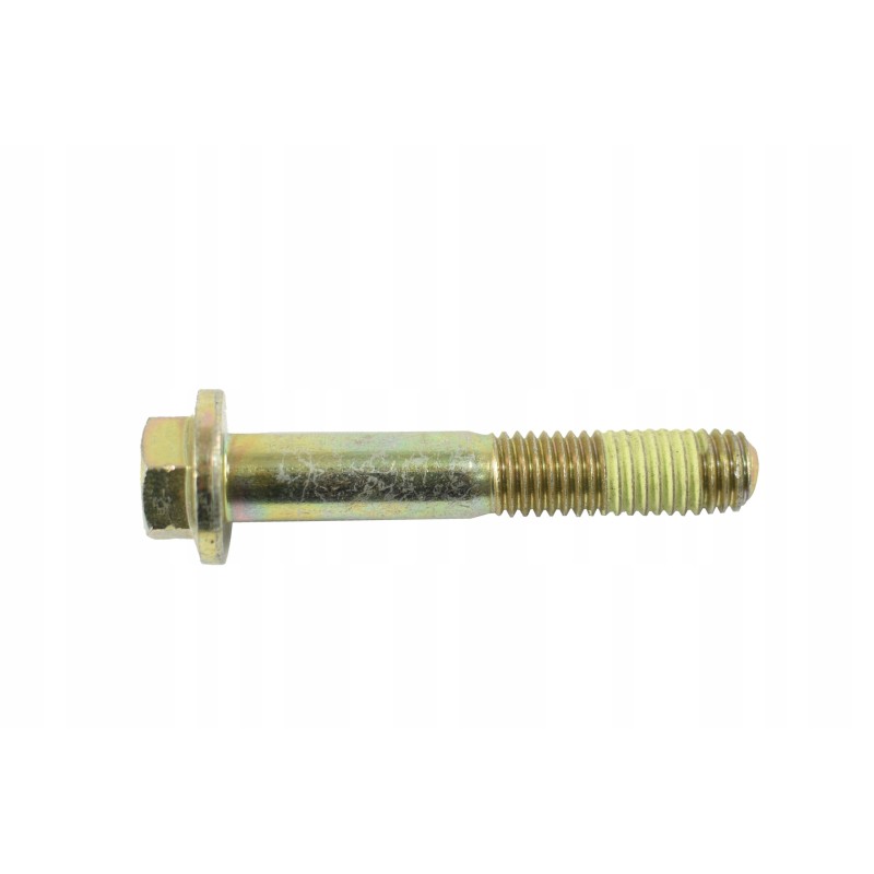 M10 screw for cat dig filter base lad 1054173