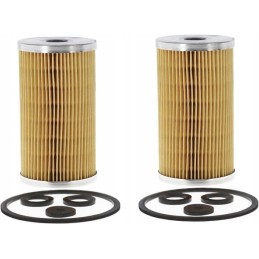 Set of fuel filters with sealing rings