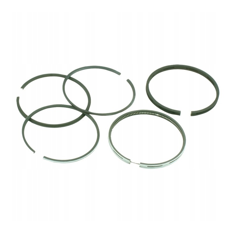 Agtech 656ap65007 ursus piston rings