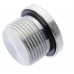 Vsr12wdgp plug with gasket 3 4 bsp