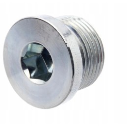 Vsr12wdgp plug with gasket 3 4 bsp