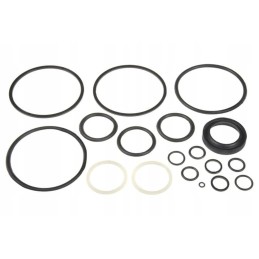 Z1001313n seal kit fits Belarus