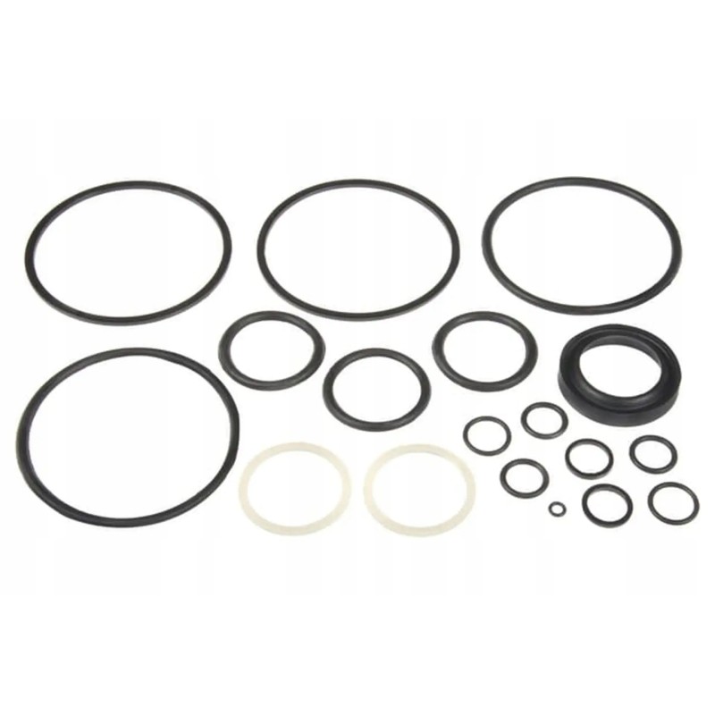 Z1001313n seal kit fits Belarus