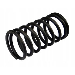 Outer valve spring 950508 c 360 or ursus