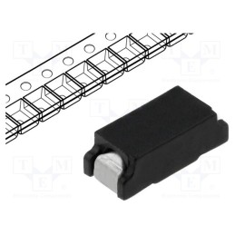 1 pcs x SCHURTER - 3404.0114.11 - Fuse: fuse, time-lag, 1A, 125VAC, 125VDC, SMD, ceramic, copper alloy