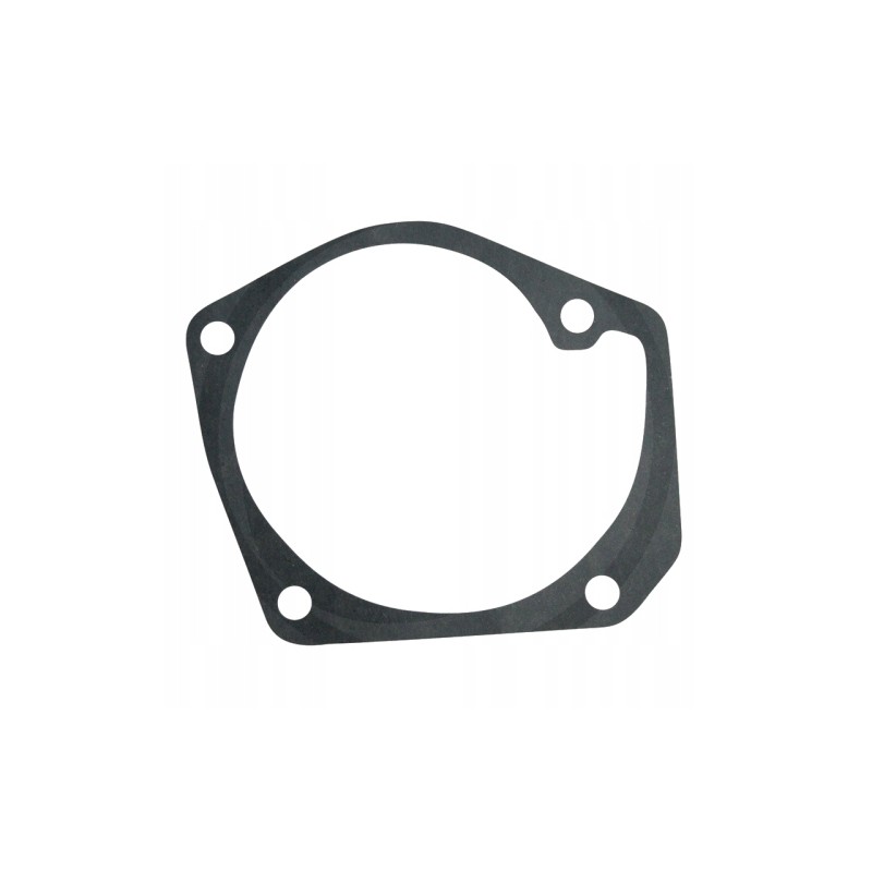 Water pump body gasket 89017011