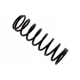 Valve rocker axle spring c 330