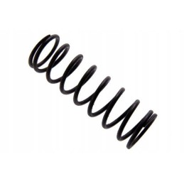 Valve rocker axle spring c 330