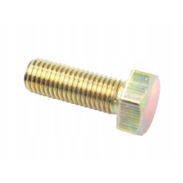 Engine seal cover bolt 0746255 353518