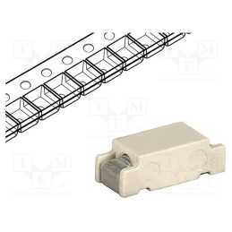 1 pcs x SCHURTER - 3403.0119.11 - Fuse: fuse, time-lag, 2A, 250VAC, 125VDC, SMD, copper, OMT, tape,bag