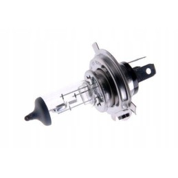 Bulb h4 12v 60 55w with collar 10 pcs mot