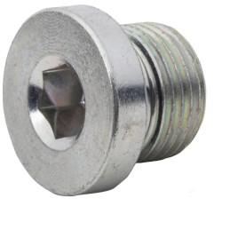 Vsr06wdgp plug with gasket 3 8 bsp