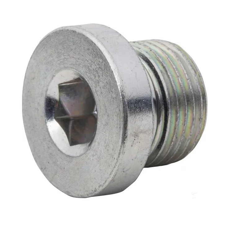 Vsr06wdgp plug with gasket 3 8 bsp