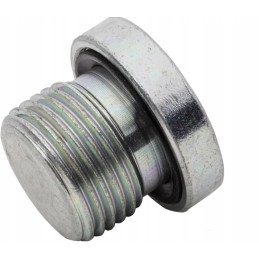 Vsr06wdgp plug with gasket 3 8 bsp