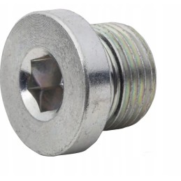 Vsr04wdgp plug with gasket 1 4 bsp