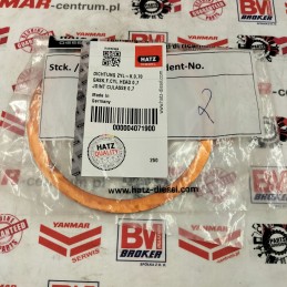Hatz 1d41 1d42 head gasket 0 7 04071900