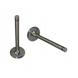 Exhaust valve 7340 zetor motogeneric