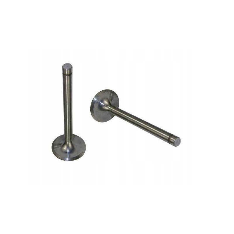 Exhaust valve 7340 zetor motogeneric