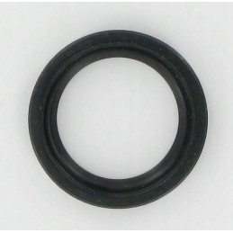 Shaft seal mtd 721 0338