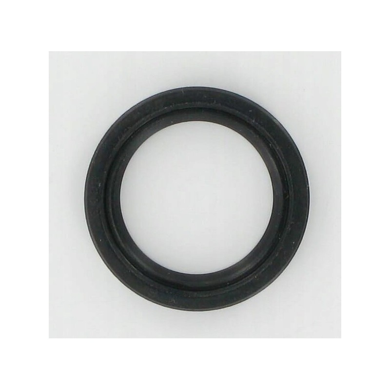 Shaft seal mtd 721 0338