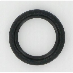 Shaft seal mtd 721 0338