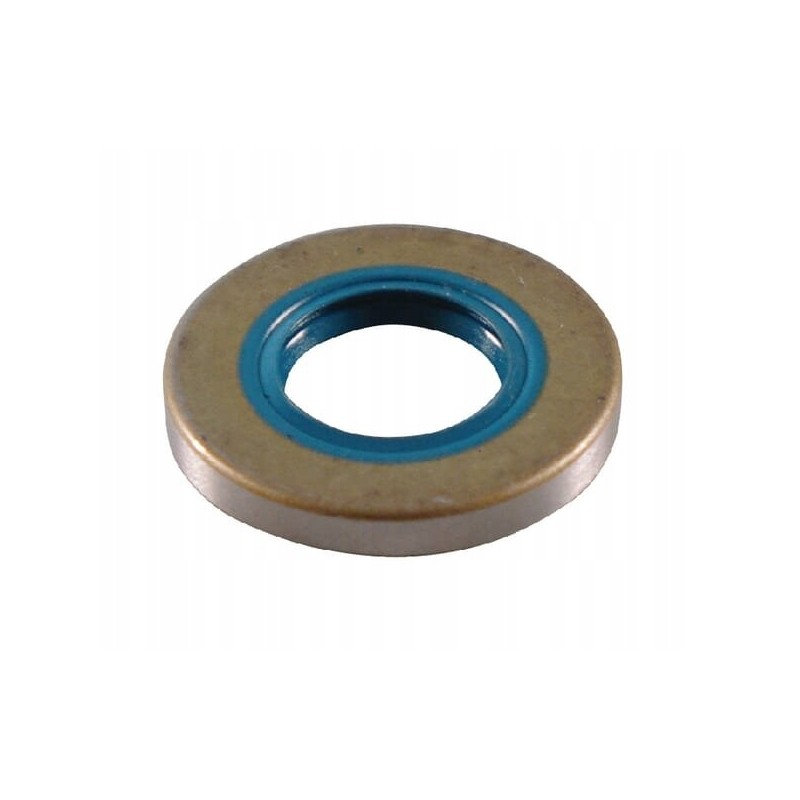 Shaft sealing ring dfs 15x29 6x4 005425