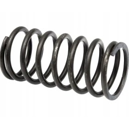 Valve head spring c 330 50001090