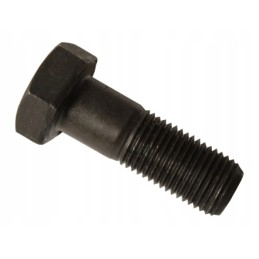 Flywheel bolt m12x1 25x35 c 330 50005580