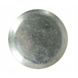 Plug 88170092 domestic product