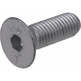 Screw m10x30mm class 10 9 435881301865 comer