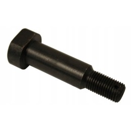 Engine mounting bolt Wladimirec T 25 2500103